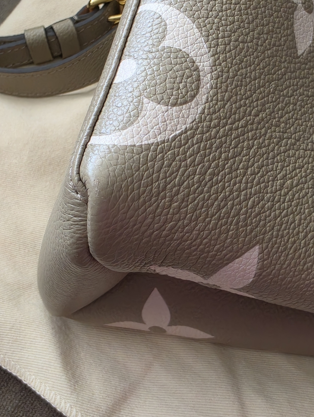Louis Vuitton Bicolor Petit Palais in Dove/Cream - Picture 9 of 15